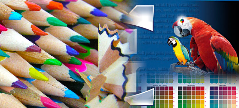 tehnoredactare computerizata grafica vectoriala